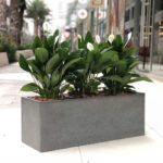 Chậu cây đá KHP-CCD-5643