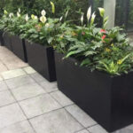 Chậu cây đá KHP-CCD-8923